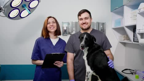 Portrait-of-a-confident-male-veterinarian-and-his-assistant-in-a-blue-uniform-while-examining-a-black-dog-in-a-modern-clinic