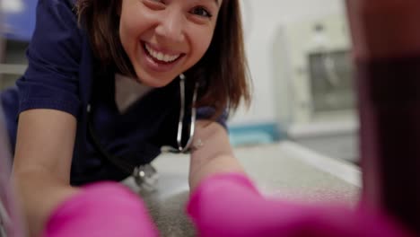 First-person-view-of-a-happy-brunette-girl-veterinarian-in-a-blue-uniform-takes-a-pet-out-of-a-carrier-and-calls-him-to-the-veterinarian-office