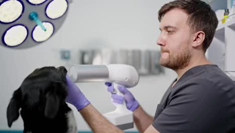 A-male-veterinarian-uses-special-device-to-examine-the-teeth-of-a-black-dog-during-a-routine-examination-in-a-veterinary-clinic