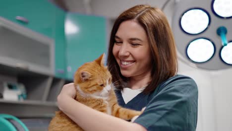 Happy-brunette-veterinarian-girl-in-a-blue-uniform-holds-an-orange-white-cat-in-her-arms-and-strokes-it-during-an-examination-in-a-veterinary-clinic-for-pets