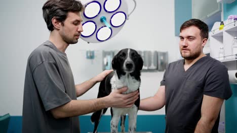 A-man-in-a-gray-t-shirt-talks-about-his-dog-during-an-examination-with-a-professional-veterinarian-in-a-modern-veterinary-clinic