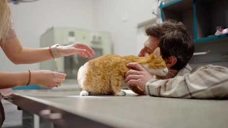 Close-up-a-brunette-guy-in-a-white-checkered-shirt-strokes-his-ginger-cat-together-with-a-girl-veterinarian-in-a-veterinary-clinic