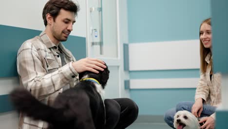 A-brunette-guy-with-his-black-and-white-dog-strokes-it-and-communicates-with-a-blonde-girl-with-her-white-dog-in-the-corridor-of-a-veterinary-clinic-while-waiting-for-his-turn-to-receive-an-appointment