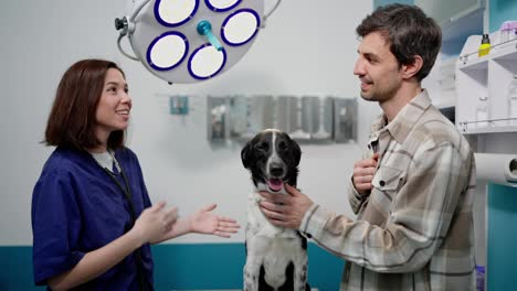 Confident-brunette-veterinarian-girl-in-a-blue-uniform-communicates-with-the-owner-of-a-black-and-white-dog-during-an-examination-in-a-veterinary-clinic