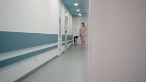 Side-view-of-a-confident-girl-in-a-pink-uniform-escorting-a-black-dog-to-its-owner-in-a-veterinary-clinic.-Girl-veterinarian-with-a-black-dog-in-the-clinic