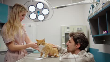 Confident-brunette-guy-in-a-checkered-shirt-communicates-with-a-blonde-veterinarian-girl-during-an-examination-of-his-ginger-cat-in-the-veterinarian-office