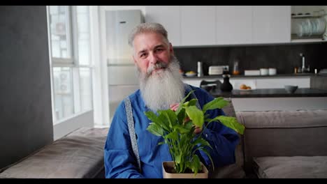 Portrait-of-a-happy-elderly-man-with-gray-hair-with-a-lush-beard-and-in-a-blue-shirt-who-is-sitting-on-the-sofa-and-holding-a-green-houseplant-in-a-pot-in-his-hands-in-a-modern-apartment