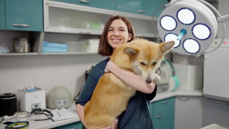 Portrait-of-a-happy-brunette-girl-in-a-blue-uniform-holding-and-stroking-a-yellow-corgi-dog-in-a-veterinary-clinic-in-a-veterinarian-office