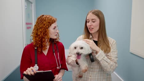 Close-up,-a-confident-girl-veterinarian-in-a-red-uniform-communicates-with-the-owner-of-a-white-blonde-dog-in-a-veterinary-clinic-after-an-examination