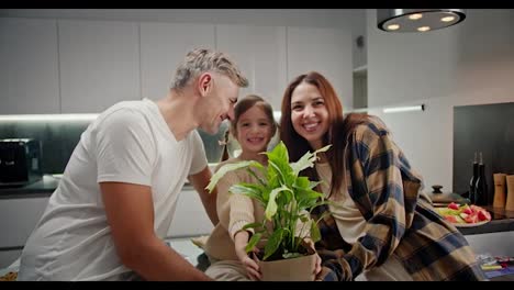 Portrait-of-a-happy-little-girl-with-her-parents-holding-a-houseplant-forward-and-rejoicing-after-her-dinner-in-a-modern-apartment-in-the-kitchen-in-the-evening