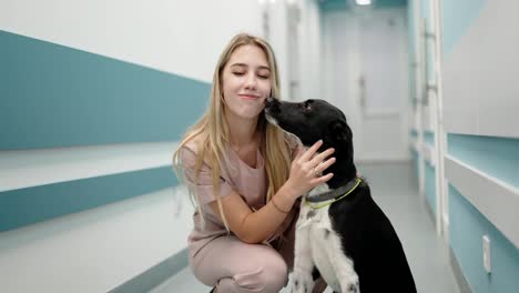 Portrait-of-a-happy-blonde-girl-with-her-black-and-white-dog-in-a-blue-corridor-in-a-veterinary-clinic.-Happy-blonde-girl-with-her-dog-posing-in-a-veterinary-clinic