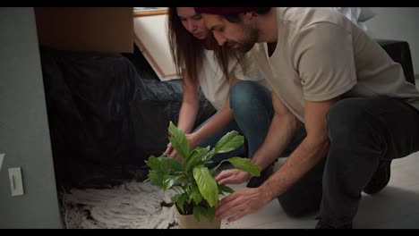 A-brunette-man-with-stubble-in-a-beige-T-shirt-together-with-his-brunette-girlfriend-in-a-white-T-shirt-collect-soil-from-a-house-flower-that-fell-on-the-floor-after-moving-to-a-new-apartment-among-boxes-and-furniture-in-black-polyethylene-in-a-new-apartment