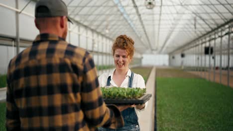 Por-Encima-Del-Hombro-De-Una-Feliz-Mujer-Agricultora-Con-Cabello-Rojo-Y-Rizado,-Toma-Plántulas-De-Las-Manos-De-Un-Agricultor-Confiado-Y-Le-Agradece-Por-Trabajar-En-El-Invernadero-De-La-Granja.