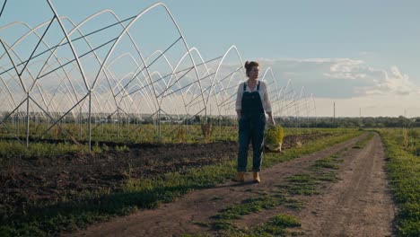 Confident-girl-Farmer-in-denim-overalls-walks-along-an-earthen-road-to-a-field-along-a-farm-in-the-evening