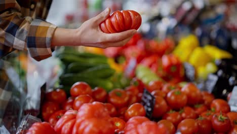 Close-up-shot-of-a-girl-in-a-plaid-shirt-choosing-tomatoes-and-inspecting-ripe-fruits-on-the-vegetable-counter-in-a-supermarket