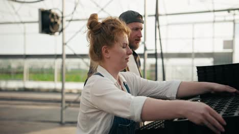 Happy-woman-Farmer-with-red-hair-works-with-her-colleague-and-sorts-through-boxes-for-seedlings-and-young-plants-while-working-in-a-greenhouse-on-a-farm