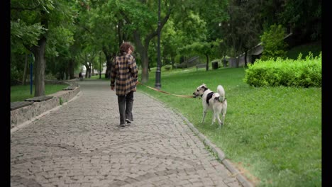 Rear-view-of-a-happy-brunette-girl-in-a-plaid-shirt-walking-with-a-dog-on-a-leash-in-the-park-during-the-day