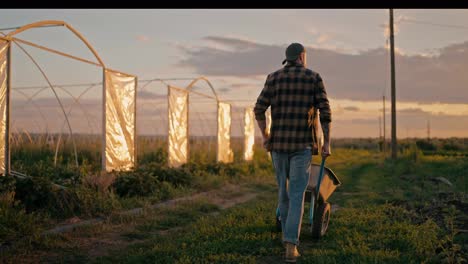 Rear-view-of-a-confident-guy-Farmer-in-a-checkered-shirt-walks-along-a-field-on-a-farm-and-rolls-a-Wheelbarrow-at-sunset-in-the-evening