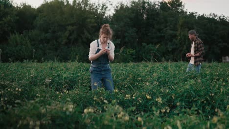 Happy-Farmer-Girl-with-Brown-Curly-Hair-Tasting-Tomatoes-from-the-Garden-at-the-Farm