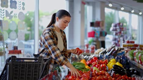 Konzentriertes-Brünettes-Mädchen-Im-Karierten-Hemd-Wählt-Rote-Tomaten-In-Der-Gemüseabteilung-Des-Supermarkts