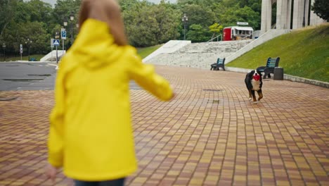 Ein-Glücklicher-Schwarzer-Hund-Rennt-Und-Trägt-Einen-Ball-Zu-Seinem-Besitzer,-Ein-Junges-Mädchen-In-Einer-Gelben-Jacke-Beim-Spazierengehen-Und-Spielen-Im-Park-Nach-Dem-Regen