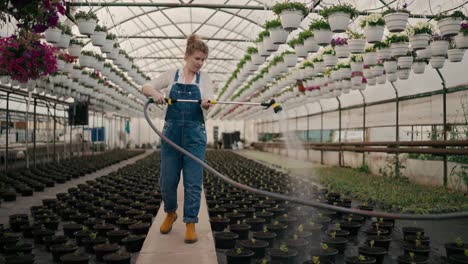 Happy-woman-farmer-with-red-curly-hair-watering-young-plant-sprouts-using-a-modern-watering-can-in-a-greenhouse