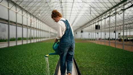 Rear-view-of-confident-professional-girl-Farmer-with-red-hair-using-watering-can-to-water-young-plant-sprouts-in-greenhouse-on-farm