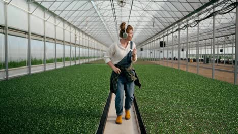 Mujer-Feliz-Y-Alegre,-Agricultora-De-Pelo-Rojo-Con-Camisa-Blanca-Y-Auriculares-Inalámbricos,-Escucha-Música-Y-Baila-Entre-Las-Plantas-Del-Invernadero