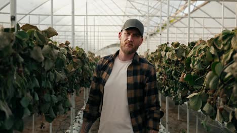 Portrait-of-a-sad-male-farmer-with-a-beard-who-is-disappointed-in-the-harvest-of-dried-and-wilted-strawberry-bushes-in-a-greenhouse-on-the-farm