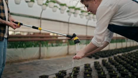 Close-up-a-farmer-girl-with-curly-hair-washes-her-hands-under-a-watering-can-that-her-colleague-a-guy-is-holding-for-her-at-work-in-a-greenhouse-on-a-farm