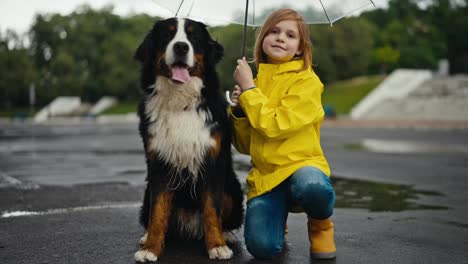 Portrait-of-a-blonde-teenage-girl-in-a-yellow-jacket-with-her-large-purebred-black-and-white-dog-during-a-light-rain-in-the-park