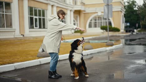 Una-Mujer-Rubia-Segura-De-Sí-Misma-Con-Una-Chaqueta-Blanca-Entrena-A-Su-Gran-Perro-De-Raza-Pura,-Blanco-Y-Negro,-En-El-Parque-Después-De-La-Lluvia