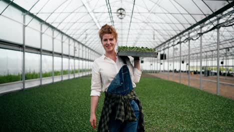 Portrait-of-a-happy-woman-with-curly-hair-as-a-farmer-carrying-seedlings-in-her-hands-and-posing-among-the-greenhouse-and-plants-on-the-farm