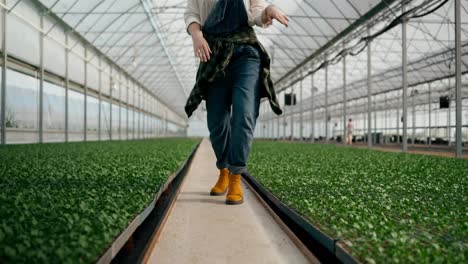 Close-up-of-a-cheerful-girl-Farmer-in-farm-clothes-dances-and-walks-along-the-seedlings-in-a-greenhouse-on-the-farm