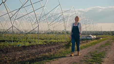 Confident-farmer-girl-with-curly-red-hair-holds-plants-in-her-hands-and-walks-along-the-field-on-the-farm