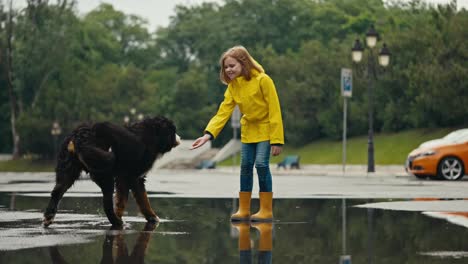 Happy-teenage-girl-in-a-yellow-jacket-stands-in-a-puddle-in-rubber-boots-and-pets-a-large-black-dog-while-walking-in-the-park-after-the-rain