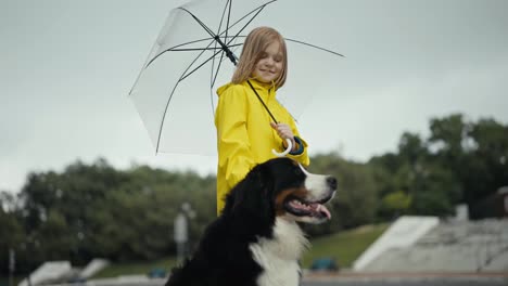 Happy-blonde-girl-in-a-yellow-jacket-petting-her-large-black-and-white-dog-and-holding-an-umbrella-in-her-hands-while-walking-in-the-park