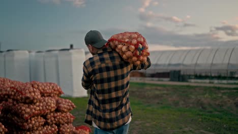 Rear-view-of-a-confident-guy-Farmer-in-a-plaid-shirt-carries-a-bag-of-onions-on-his-shoulders-and-stacks-it-with-other-bags-during-hard-work-on-the-farm