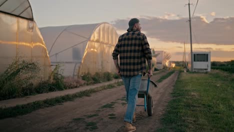 Vista-Trasera-De-Un-Agricultor-Feliz-Con-Una-Camisa-A-Cuadros-Haciendo-Rodar-Una-Carretilla-Y-Caminando-Por-Un-Camino-De-Tierra-A-Lo-Largo-De-Los-Invernaderos-De-La-Granja.