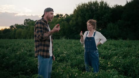 Confident-girl-Farmer-with-curly-hair-tries-a-tomato-from-the-garden-with-her-fellow-guy-in-the-field