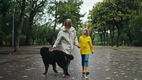 Eine-Glückliche-Blonde-Frau-Geht-Mit-Ihrer-Teenager-Tochter-In-Einer-Gelben-Jacke-Die-Gasse-Entlang-Und-Unterhält-Sich-Nach-Dem-Regen-Mit-Einem-Hund-Auf-Der-Gasse-Im-Park