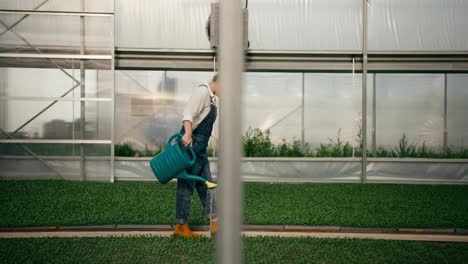 Side-view-of-confident-woman-with-red-hair-farmer-holding-watering-can-in-hands-and-watering-sprouts-of-young-plants-in-greenhouse-on-farm