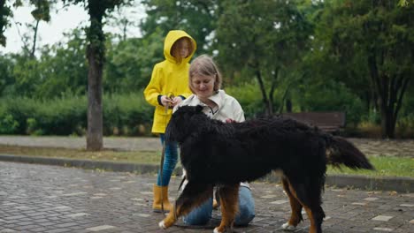 Glückliche-Blonde-Frau,-Die-Spaß-Hat-Und-Mit-Ihrem-Großen-Schwarzen-Haushund-Spielt,-Während-Sie-Nach-Dem-Regen-Mit-Ihrer-Kleinen-Tochter-Durch-Die-Gasse-Im-Park-Geht