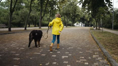 Rückansicht-Eines-Glücklichen-Mädchens-In-Einer-Gelben-Jacke,-Das-Nach-Dem-Regen-Mit-Seinem-Großen-Schwarzen-Hund-Durch-Die-Gasse-Im-Park-Spaziert