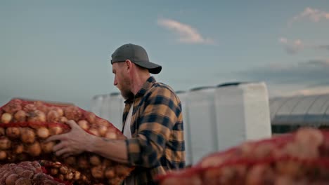 Close-up-of-a-man-Farmer-in-a-plaid-shirt-sorting-bags-of-onions-after-harvesting-on-the-farm