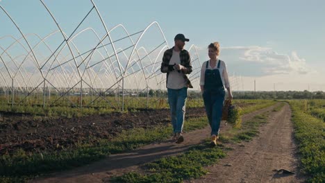 Happy-guy-Farmer-in-a-plaid-shirt-communicates-with-his-colleague-girl-in-denim-overalls-while-they-walk-along-an-earthen-road-on-a-farm-in-the-evening