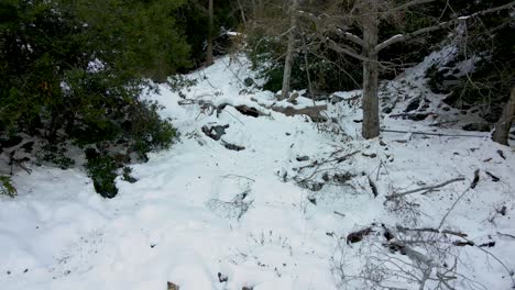 Toma-Aérea-A-Través-Del-Bosque-Cubierto-De-Nieve