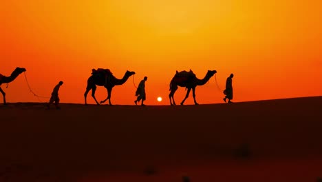 Cameleers,-camel-Drivers-at-sunset.-Thar-desert-on-sunset-Jaisalmer,-Rajasthan,-India.