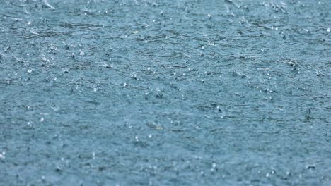 Abstract-background,-rain-drops-on-the-water.