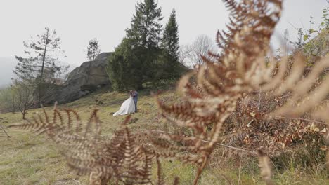 Groom-with-bride-in-the-park.-Wedding-couple.-Happy-family-in-love